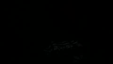 goatchocolate online show from 22, 12, 2024