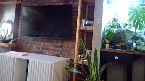 Snapshot of goddessjojo4u chatting on 7, 2, 2026 Goodess Jojo online show from 7, 2, 2026