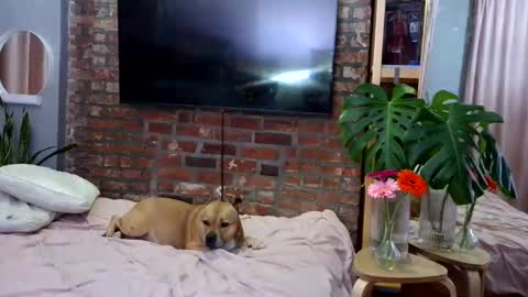 Snapshot of goddessjojo4u chatting on 4, 4, 2026 Goodess Jojo online show from 4, 4, 2026