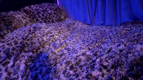 Goddess Mae  NYC online show from 8, 1, 2026