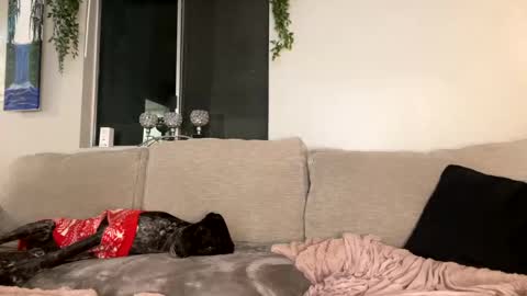 GoddessMayvn online show from 26, 12, 2024