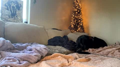 GoddessMayvn online show from 10, 1, 2025