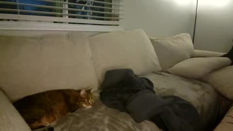 GoddessMayvn online show from 26, 1, 2025