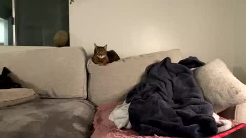 GoddessMayvn online show from 8, 2, 2025