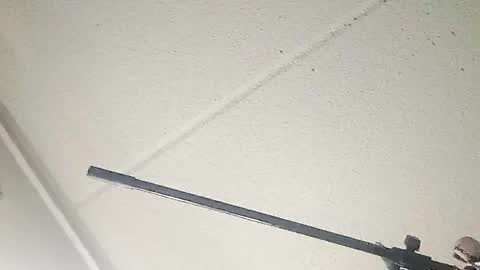 Taffy and Rmurda online show from 19, 3, 2026