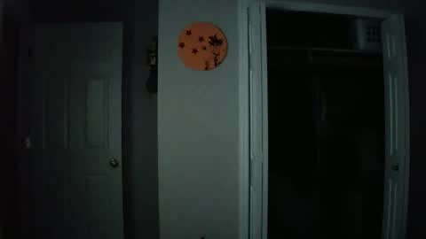 Snapshot of gokugarrison4334 chatting on 29, 11, 2025 gokugarrison4334 online show from 29, 11, 2025