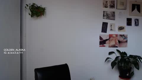 Snapshot of golden_alaska chatting on 8, 10, 2025 Alaska online show from 8, 10, 2025