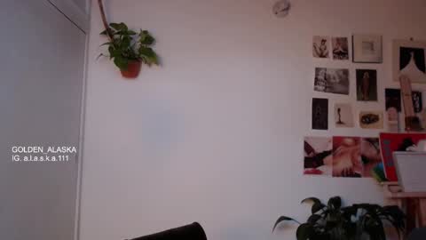 Snapshot of golden_alaska chatting on 20, 10, 2025 Alaska online show from 20, 10, 2025