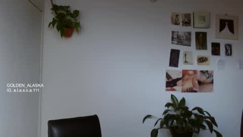 Snapshot of golden_alaska chatting on 9, 11, 2025 Alaska online show from 9, 11, 2025