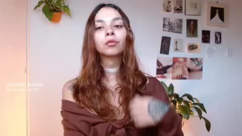 Snapshot of golden_alaska chatting on 11, 11, 2025 Alaska online show from 11, 11, 2025