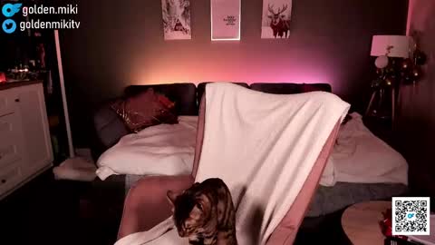 Shy in the streets but a freak in the sheets online show from 2, 2, 2025