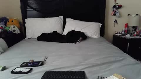 gothbaby305 online show from 29, 10, 2025