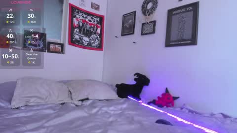 Snapshot of gothic_do11 chatting on 15, 5, 2026 hi my name is Elizabeth nice to meet you online show from 15, 5, 2026