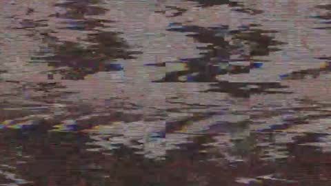        online show from 21, 5, 2026
