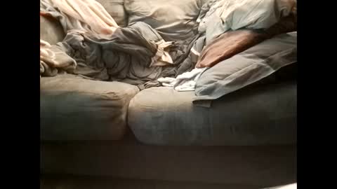 Get US to 1000 you wont be disapointed online show from 22, 1, 2025