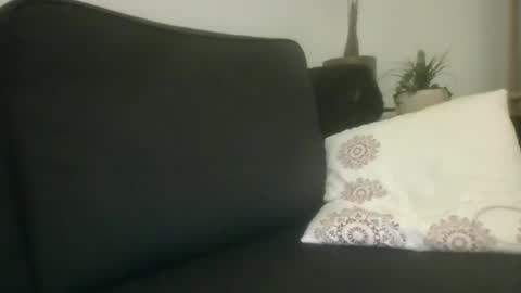 Snapshot of greatdick25700 chatting on 8, 9, 2025 greatdick25700 online show from 8, 9, 2025