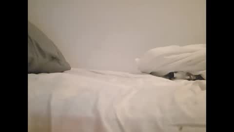 greekprince77 online show from 2, 3, 2026