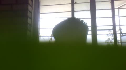 Snapshot of grey_stud chatting on 24, 2, 2025 Grey Stud online show from 24, 2, 2025