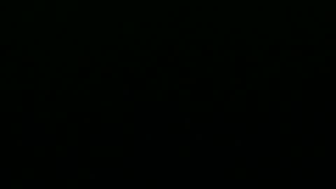 greyfox_6000 online show from 25, 2, 2025