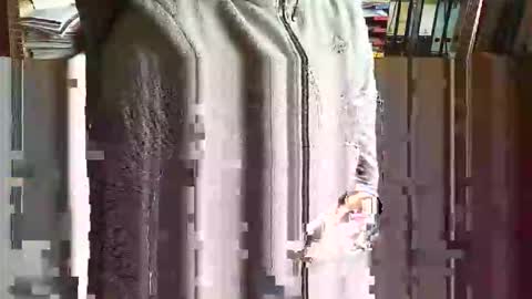 greyhounddog online show from 5, 11, 2025