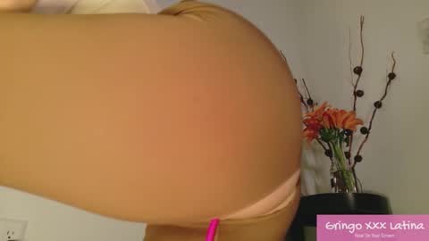 gringo_xxx_latina online show from 20, 11, 2025