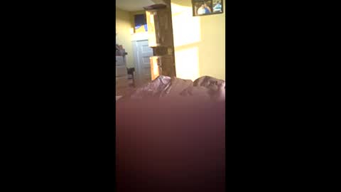 grizzely1975 online show from 24, 11, 2025