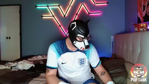 Snapshot of growingcub94 chatting on 1, 11, 2025 Alpha pup online show from 1, 11, 2025