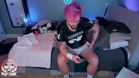 Snapshot of growingcub94 chatting on 11, 11, 2025 Alpha pup online show from 11, 11, 2025