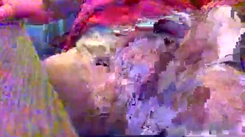 Gary online show from 12, 12, 2024