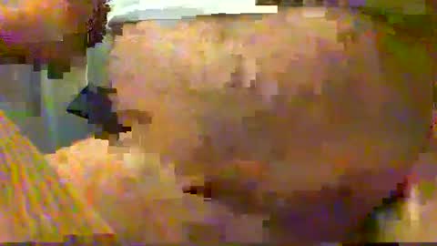 Gary online show from 15, 12, 2024