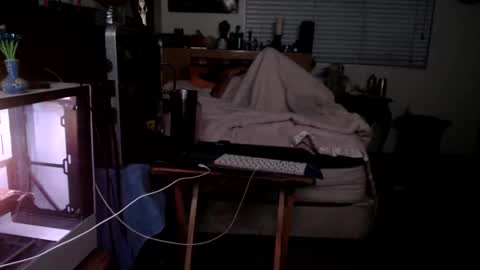 Mario online show from 22, 2, 2026