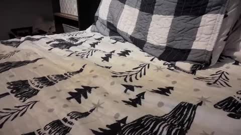 gumbywanna online show from 3, 1, 2025