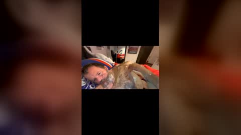 h20976 online show from 22, 3, 2026