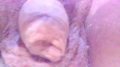 Snapshot of hagridthehorrible chatting on 5, 2, 2025 hagridthehorrible online show from 5, 2, 2025