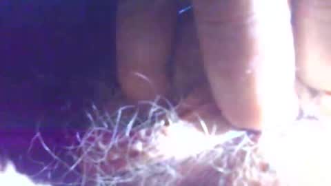 Snapshot of hagridthehorrible chatting on 1, 11, 2025 hagridthehorrible online show from 1, 11, 2025