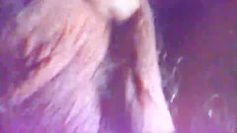 Snapshot of hagridthehorrible chatting on 5, 12, 2025 hagridthehorrible online show from 5, 12, 2025