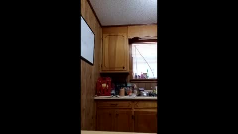 hailstorm32 online show from 19, 4, 2026