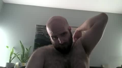 Hairiest Bear online show from 1, 4, 2026
