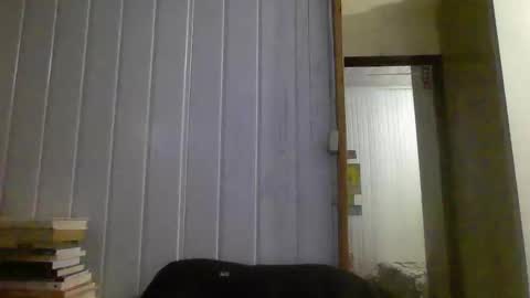 horny online show from 3, 1, 2025