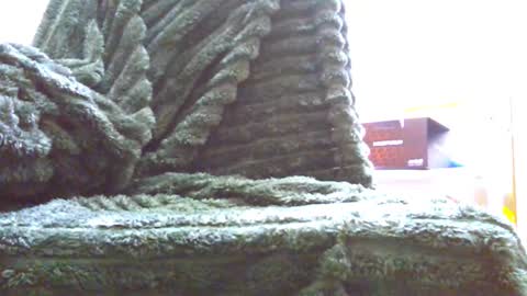 Snapshot of hairyhornytwinkk chatting on 14, 11, 2025 HairyHornyTwinkk online show from 14, 11, 2025