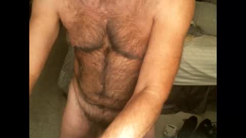 Snapshot of hairypecsguy chatting on 11, 11, 2025 Hairy pecs online show from 11, 11, 2025