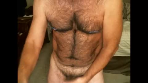 Snapshot of hairypecsguy chatting on 20, 11, 2025 Hairy pecs online show from 20, 11, 2025