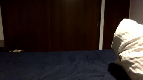 NN420 online show from 6, 10, 2025