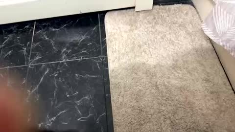 halebb online show from 20, 10, 2025