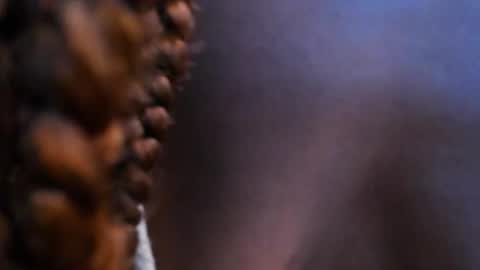 Halley Lorens online show from 6, 11, 2025