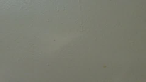 hamhead71 online show from 7, 2, 2025