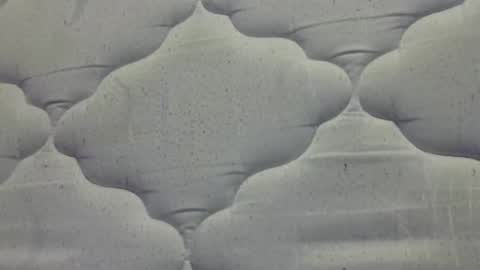 hamhead71 online show from 15, 4, 2026