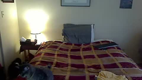 Snapshot of hammerthatthang73 chatting on 20, 3, 2026 hammerthatthang73 online show from 20, 3, 2026