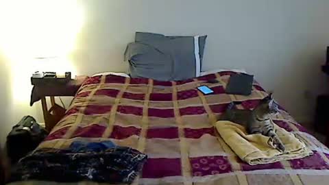 Snapshot of hammerthatthang73 chatting on 23, 3, 2026 hammerthatthang73 online show from 23, 3, 2026