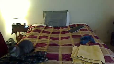 Snapshot of hammerthatthang73 chatting on 24, 3, 2026 hammerthatthang73 online show from 24, 3, 2026